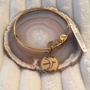 Alex and ani bangle
